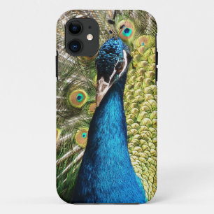 Beautiful Peacock Case-Mate iPhone Hülle