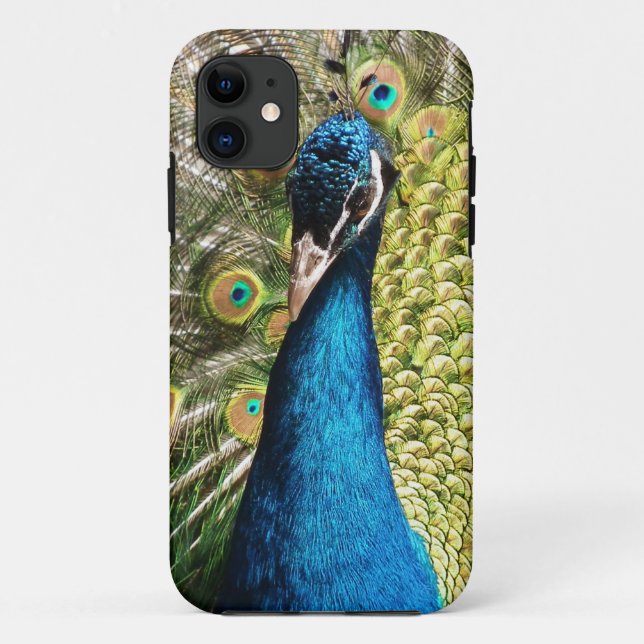 Beautiful Peacock Case-Mate iPhone Hülle (Rückseite)