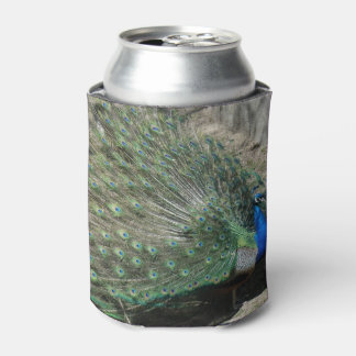 Beautiful Peacock Dosenkühler