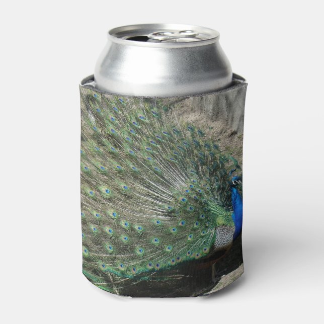 Beautiful Peacock Dosenkühler (Kanne Vorderseite)
