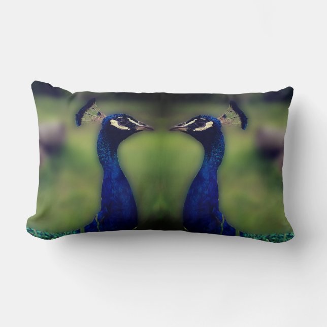 Beautiful Peacock Foto Lumbar Pillow Lendenkissen (Vorderseite)