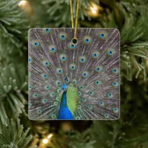 Beautiful Peacock Keramikornament