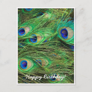 Beautiful Peacock Postkarte