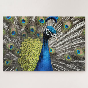 Beautiful Peacock Puzzle