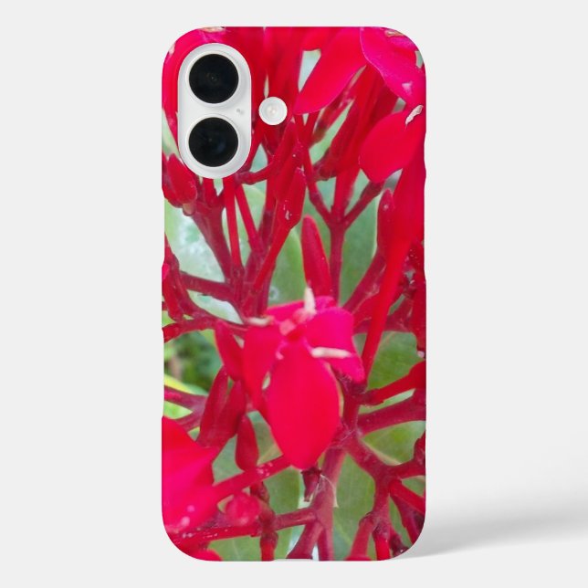 Beautiful Phantastisch Red Blume QPC Template Case-Mate iPhone Hülle (Rückseite)