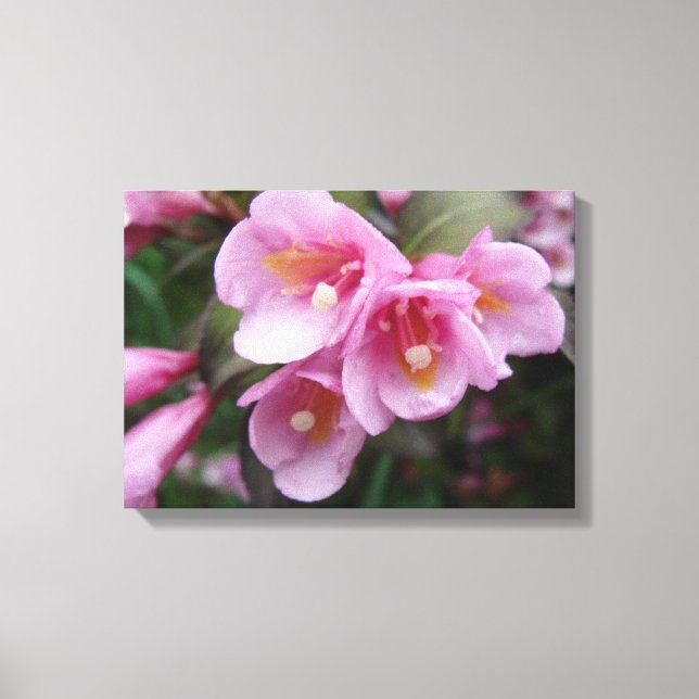 Beautiful Pink Floral Canvas Print Leinwanddruck (Vorderseite)