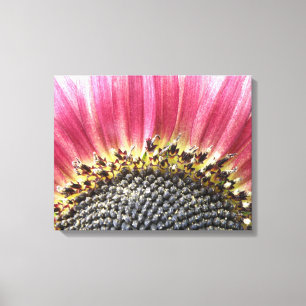 Beautiful Pink Sonnenblume Canvas Print Leinwanddruck