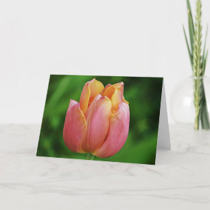 Beautiful Pink Tulip Art Note Card Karte