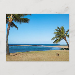 Beautiful Po'ipu Beach, Kaua'i, Hawaii Postkarte