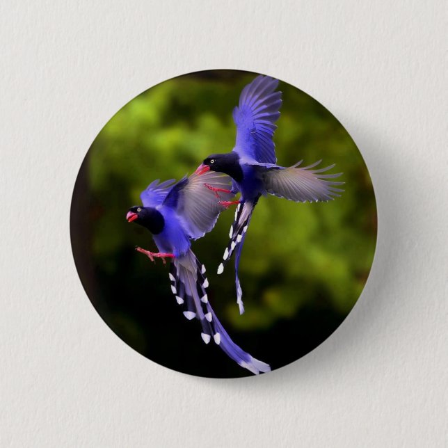 Beautiful Purple Birds in Flight Button (Vorderseite)