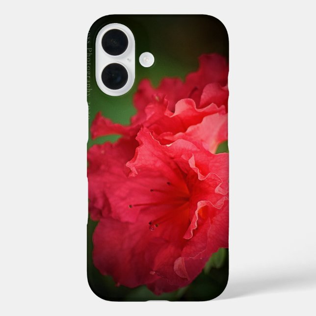 Beautiful Red Blume * Case-Mate iPhone Case (Rückseite)