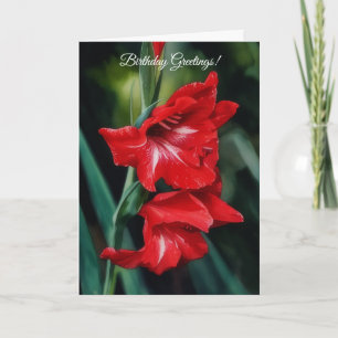 Beautiful Red Blume Garni Karte