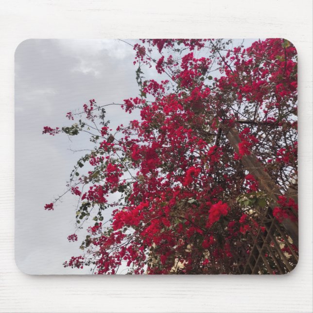 Beautiful red Bougainvillea Flowers & Cloudy Sky  Mousepad (Vorne)