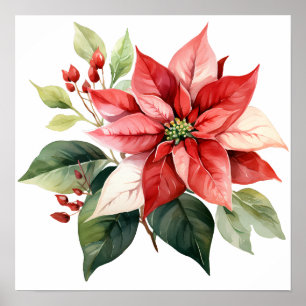 Beautiful Red Christmas Poinsettia Poster