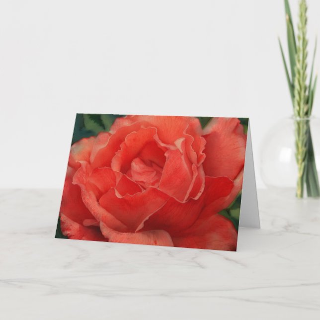 Beautiful Red Coral Rose Art Note Card Karte (Vorderseite)