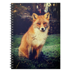 Beautiful Red Fox Notizblock