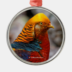 Beautiful Red Golden Pheasant Ornament Aus Metall