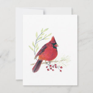 Beautiful Red Kardinal Note Card