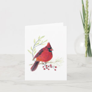 Beautiful Red Kardinal Note Card
