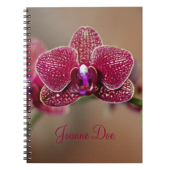 Beautiful Red Orchid Notizblock (Vorderseite)