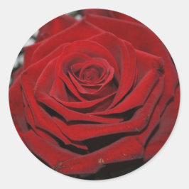 Beautiful Red Rose Runder Aufkleber