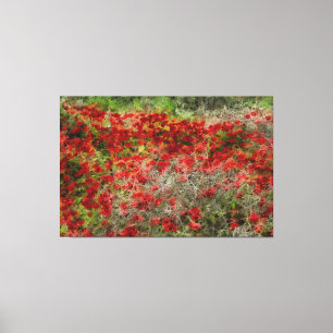 Beautiful Red Wildblume Anemones Abstrakte Kunst Leinwanddruck