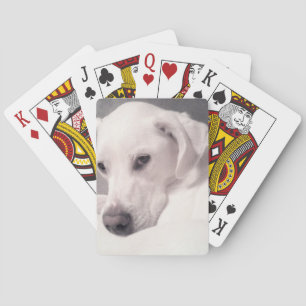 Beautiful Regal White Labrador Mix Dog Gray Playin Spielkarten