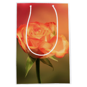 Beautiful Romantic Rose Fotograph Mittlere Geschenktüte