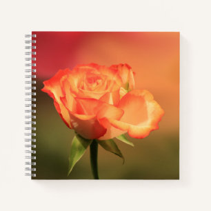 Beautiful Romantic Rose Fotograph Notizbuch