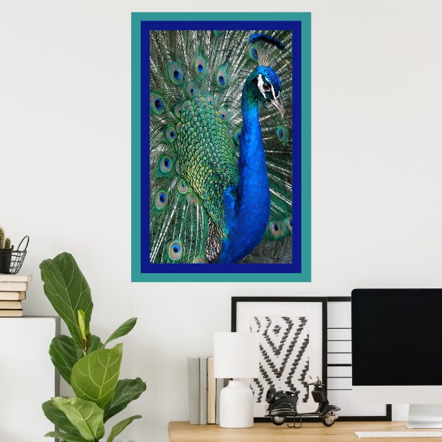 Beautiful Royal Peacock Foto Poster (Heimbüro)
