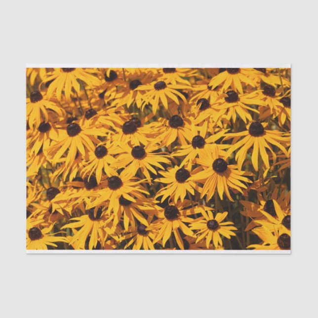 Beautiful Rudbeckias Yellow Coneflowers Seidenpapier (Vorderseite)
