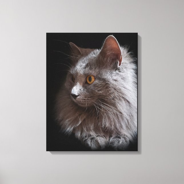 Beautiful Russian Blue Gray Cat Nebelung Leinwanddruck (Vorderseite)