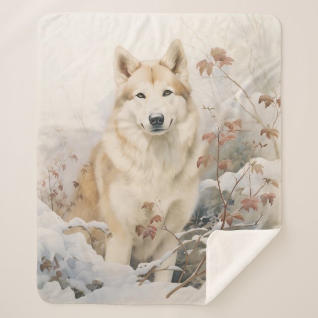 Beautiful Sable Husky Sherpadecke (Vorderseite)