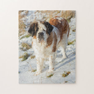 Beautiful Saint Bernard Hund Puzzle
