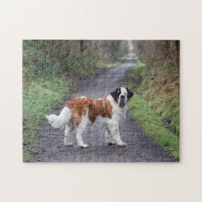 Beautiful Saint Bernard Hund Puzzle (Horizontal)