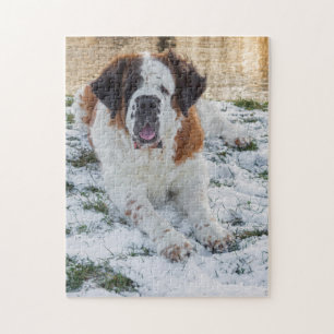 Beautiful Saint Bernard Hund Puzzle