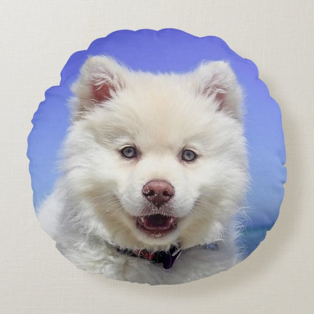 Beautiful Samoyed Dog Rundes Kissen (Vorderseite)