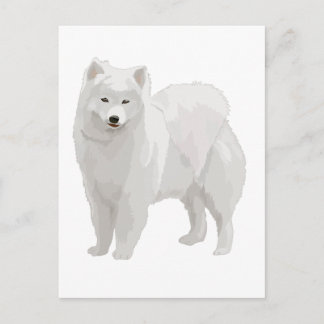 Beautiful Samoyed Postkarte
