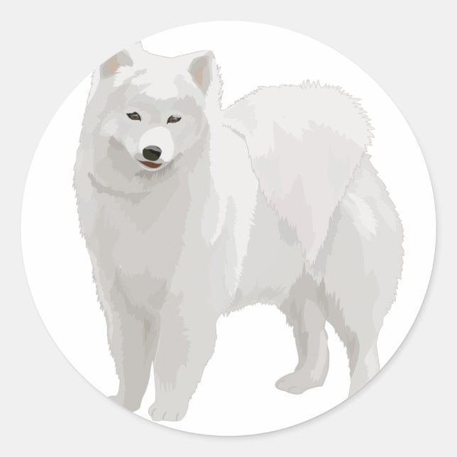 Beautiful Samoyed Runder Aufkleber (Vorderseite)