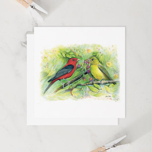 Beautiful Scarlet Tanager Couple Note Card