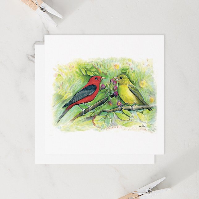 Beautiful Scarlet Tanager Couple Note Card (Beautiful Scarlet Tanager Couple Watercolor Blank Note Cards from Jenn Steffen Art)