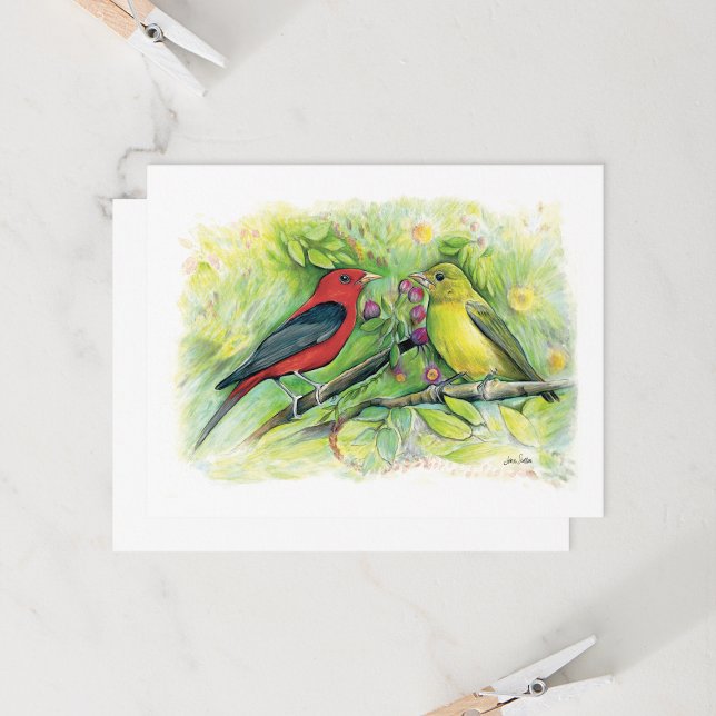 Beautiful Scarlet Tanager Couple Note Card (Beautiful Scarlet Tanager Couple Note Card from Jenn's Emporium.)