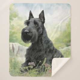 Beautiful Scottie Sherpadecke