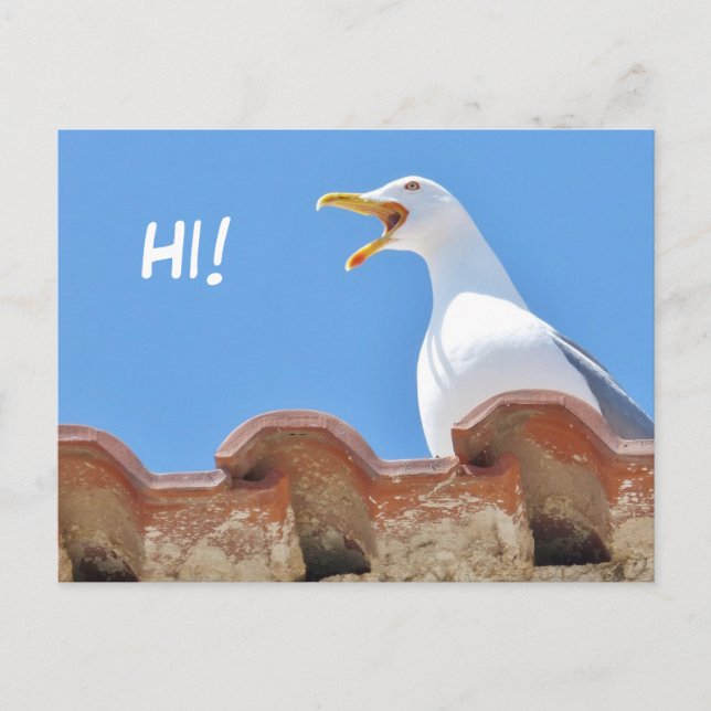 Beautiful Seagull - Hello Postcard Postkarte (Vorderseite)