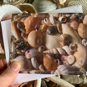 Beautiful Seashells Tropical Collection Note Card Karte