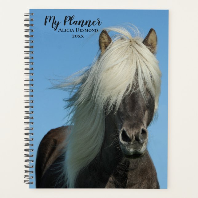 Beautiful Shetland Pony Planer (Vorderseite)