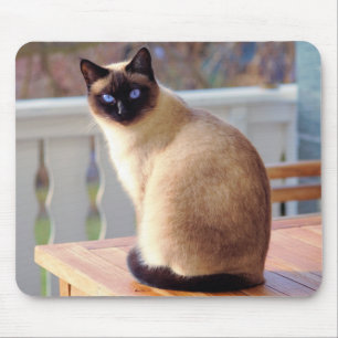 Beautiful Siamese Cat with Blue Eyes Mousepad