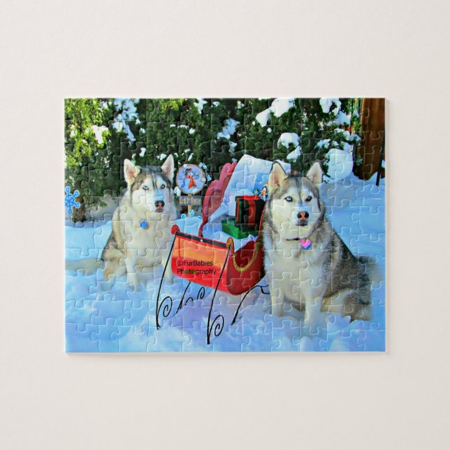 Beautiful Siberian Huskies Puzzle (Horizontal)
