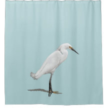 Beautiful Snowy Egret