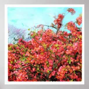 Beautiful song,poster poster